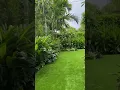 Lagu Beautiful Backyard Design . Lush Bali Inspired Garden
