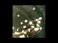 Florence Road - Wish Upon You