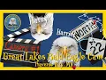 Traverse City MI Bald Eagle Nest Live Cam 1