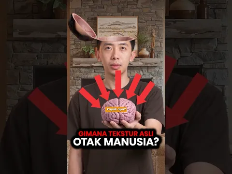 Ternyata Tekstur Otak Manusia Selembek Ini 🧠😳