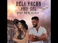 Hadi Gel
