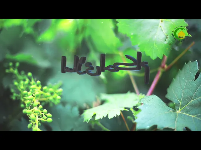 ⁣8   ٹویلیٹ احكام  وضو 1 - استاد: محمد رضا