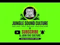 JUNGLE SUNSHINE | JUNGLE SESSION 2026 | Reggae & Drum & Bass Vibes | Jungle Sound Culture Vol. 6