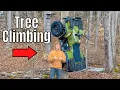 EXTREME UTILITY QUAD TESTING