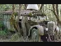 Sycamore Tree - Lady Saw.