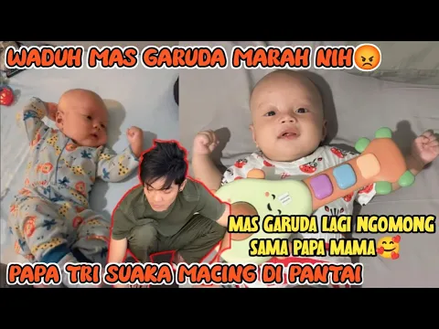 Download MP3 WAH MAS GARUDA MARAH NIH LAGI NGOMONG SAMA PAPA \u0026 MAMA PAPA TRI SUAKA HABIS MANCING DI PANTAI