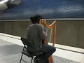 Harp Player in the Subway Station