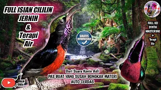 terapi suara air u0026 masteran konin full isian cililin