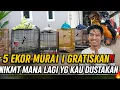 Download Lagu NIKMAT MANA LAGI YG KAU DUSTAKAN‼️ BELI MURAI BONUS MELIMPAH,5 EKOR TROTOL DIGRATISKAN!BOWO JELAMBAR