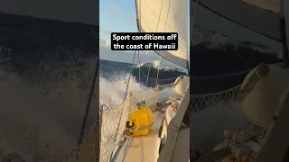 Learned more about windward sailing in 3 days than in the last year combined.