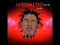 Adrenaline - Slowed + Reverb