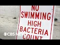 Download Lagu Beaches closed on Labor Day over bacteria concerns