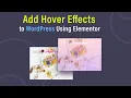 How to Add Hover Effects to WordPress Using Elementor elementor hover effects