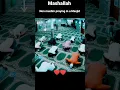 Lagu mashallah ❤️ non muslim come inside masjid #islamic #islam #shorts