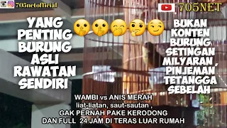 wambi vs anis merah tengah malam syahdu duet berdua