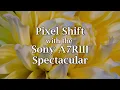 Pixel Shift with the Sony A7RIII - Spectacular