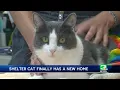 Animal with longest stay on adoption list at Stockton shelter finds new home