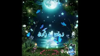 ألم نشرح لك صدرك سورة الشرح مولانا كورتش 