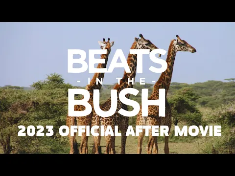 Download MP3 Beats in the Bush 2023 Official Aftermovie - Relive the MAGIC!