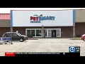 East Hartford family says dog came home without tail after PetSmart grooming visit