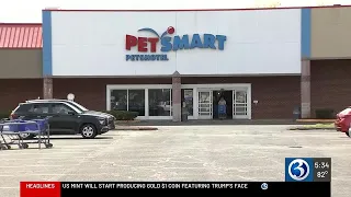 East Hartford family says dog came home without tail after PetSmart grooming visit