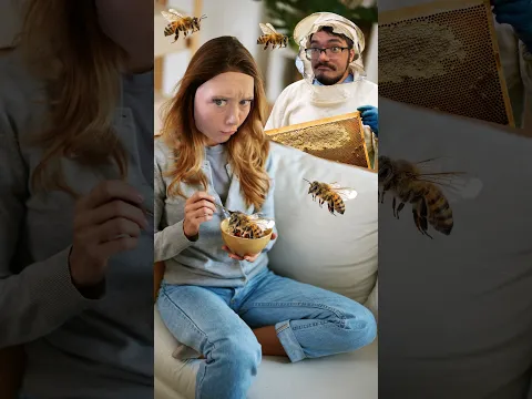 Buzz Buzz!