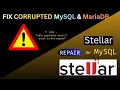 Fix MySQL Error Table doesn t exist in engine using Stellar Repair for MySQL Full Recovery