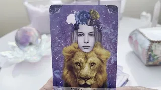 How Do They Feel Timeless Tarot Reading auntyflo