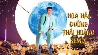 Download Hoa Hải Đường Full Version - Thái Hoàng Remix MP3