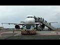 Southwest Airlines Pet Policy Fly With Your Pet On Southwest Airlines