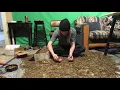 Diving Into 50 000 Pennies How to effectively search through 500 of Pennies