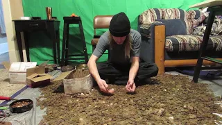 Diving Into 50 000 Pennies How to effectively search through 500 of Pennies