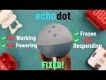 Echo Dot Not Working - Fixed Not Responding and Frozen Problem on Alexa