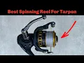 Daiwa BG 4500 The Best Value Spinning Reel For Tarpon Sharks