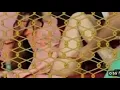 Download Lagu Heeriye (OFficial Video) Jasleen Royal ftArijit Singh| Dulquer Salmaan| AdityaSharma |Taani Tanvir