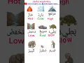 Lagu Useful vocabulary #speakarabic #arabiclanguage #languagelearning