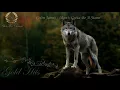 Colin James - Man's Gotta Be A Stone - (BluesMen Channel "Blues Rock Super Hits")