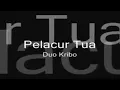 Download Lagu DUO KRIBO-PELACUR TUA-ACHMAD ALBAR/UCOK AKA HARAHAP.