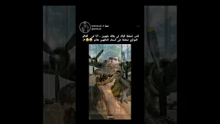 بومبارظيلو كروكوديلو Shorts ضحك 