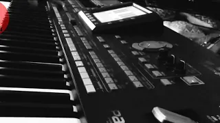 ايقاع دحيه بدويه KORG PA 3x 2020 