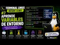 Linux Terminal from Scratch Learn Environment Variables PATH HOME USER env export and
