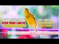 Download Lagu Kenari Gacor Full Isian Tajam Ini Bagus Dijadikan Pancingan Kenari Muda Dan Bahan Biar Cepat Gacor