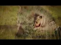 South Africa (Johnny Clegg-Great Heart)