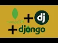 Building a Website That Can Do Everything MongoDB Django Integration with Djongo