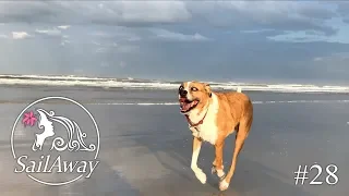 SailAway 28 | Docking in a Downpour PLUS a Magical Beach | Sailboat Living Sailing Vlog