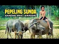 Download Lagu Pepeling Sunda Kolot Baheula | Anaking Jimat Awaking