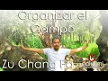 Lagu Organizar el Campo ☼ ZuChang Fa 🧘‍♂️ Zhineng Qigong 🌀Dakaimi
