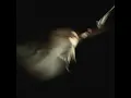 Holy Hands (Live) - Bethel Music & Paul & Hannah McClure