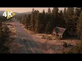 Download Lagu This Forest Thriller Will Keep You Up All Night | The Beast | Full Movie