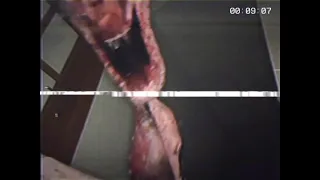 está detrás de ti